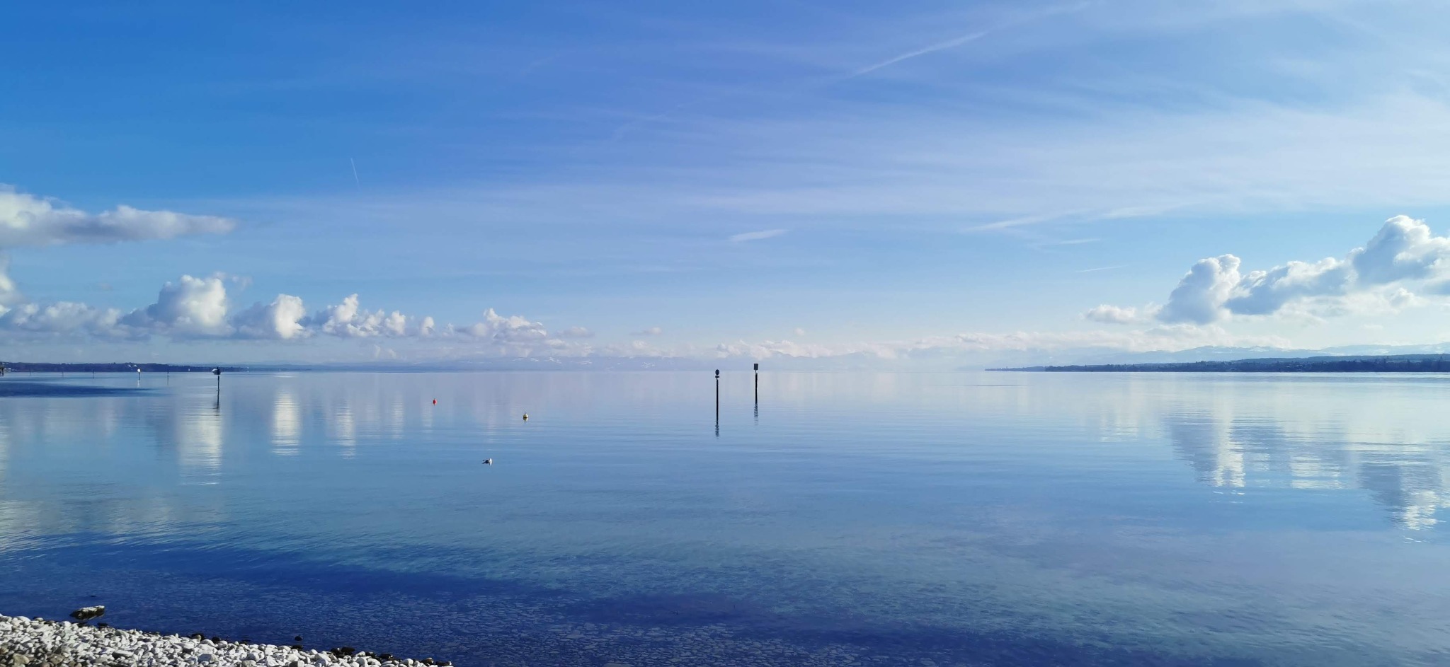 Weiter Blick über den ruhigen Bodensee unter blauem Himmel